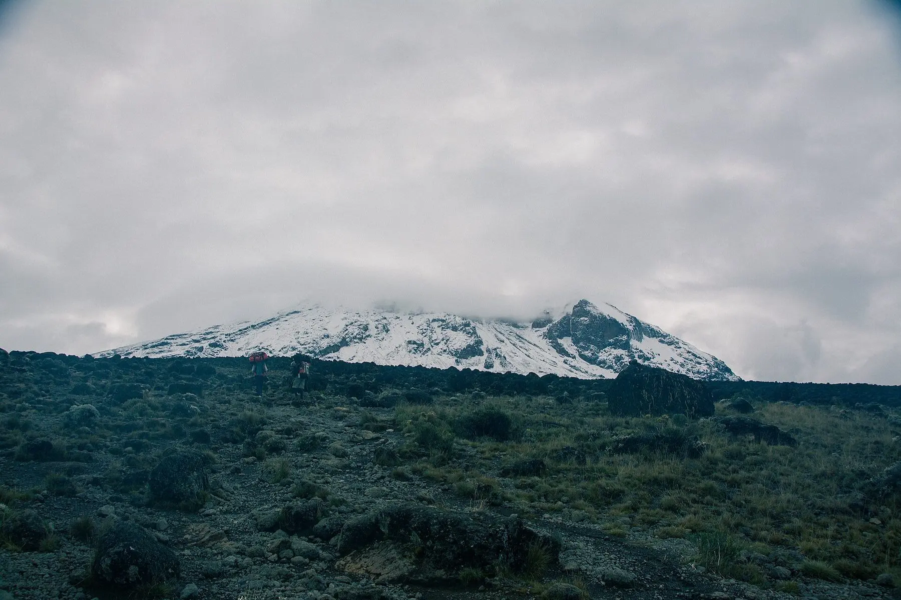 Snow on the summit of Mount Kilimanjaro, Tanzania