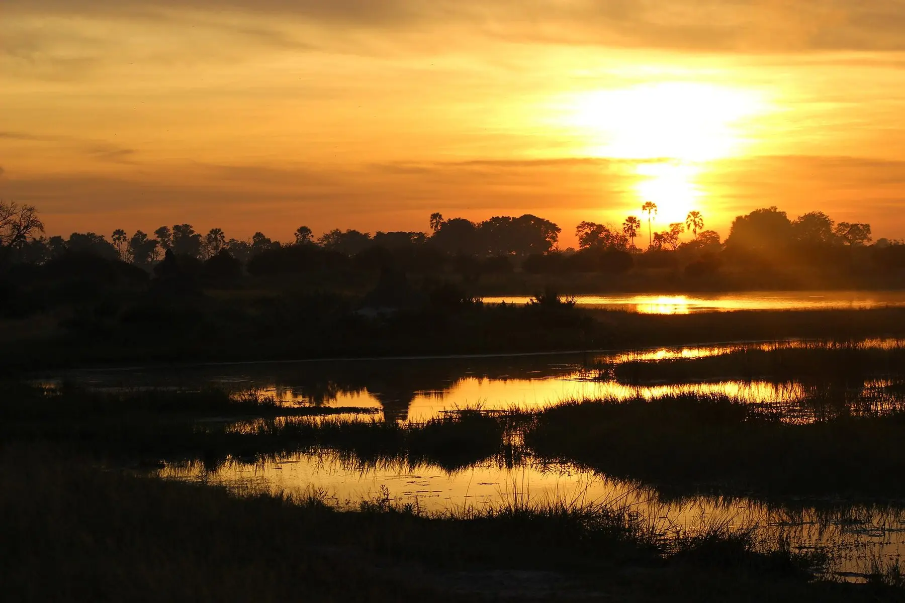 Sunrise over the channels of the Okavango Delta, Botswana